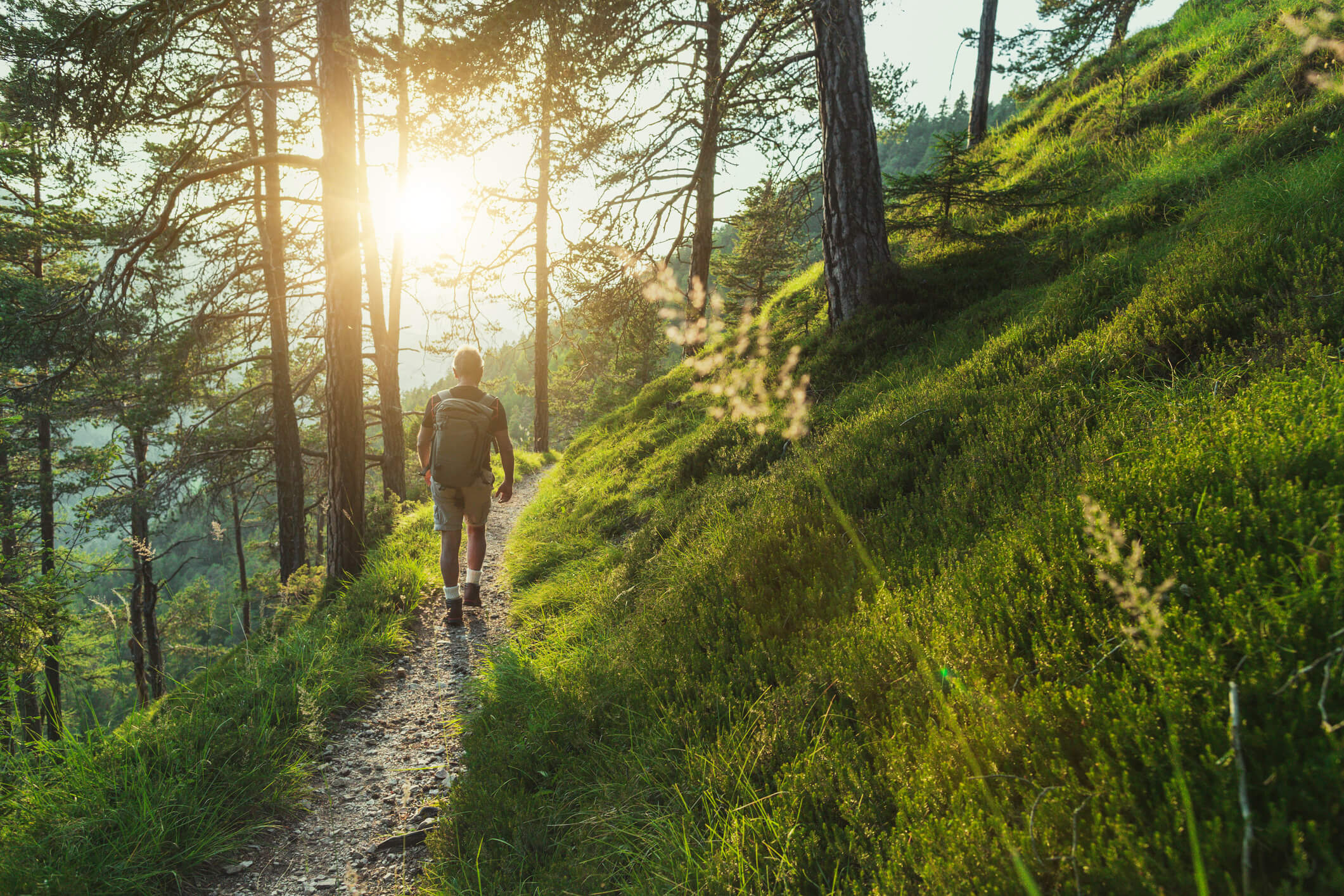 Person hiking along a forest trail during sunrise