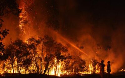 Preparing for Wildfires