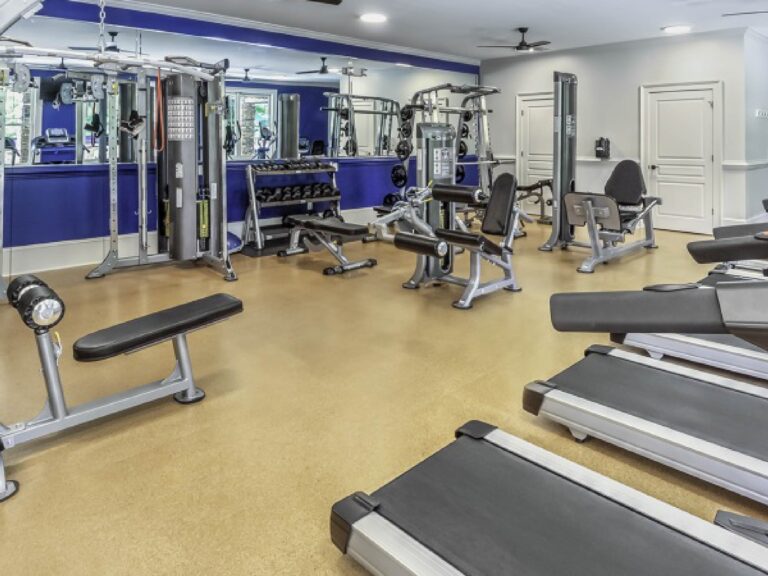Modern fitness center featuring cardio equipment, strength training machines, free weights, benches, and mirrored workout areas.