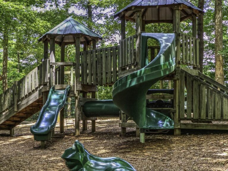 Community playground featuring wooden play structures, slides, bridges, and climbing areas surrounded by mature trees and natural landscaping at Audubon Place.
