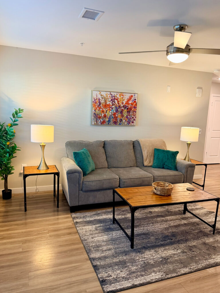 Contemporary furnished living room at Dream Winter Haven apartment community in Winter Haven Florida