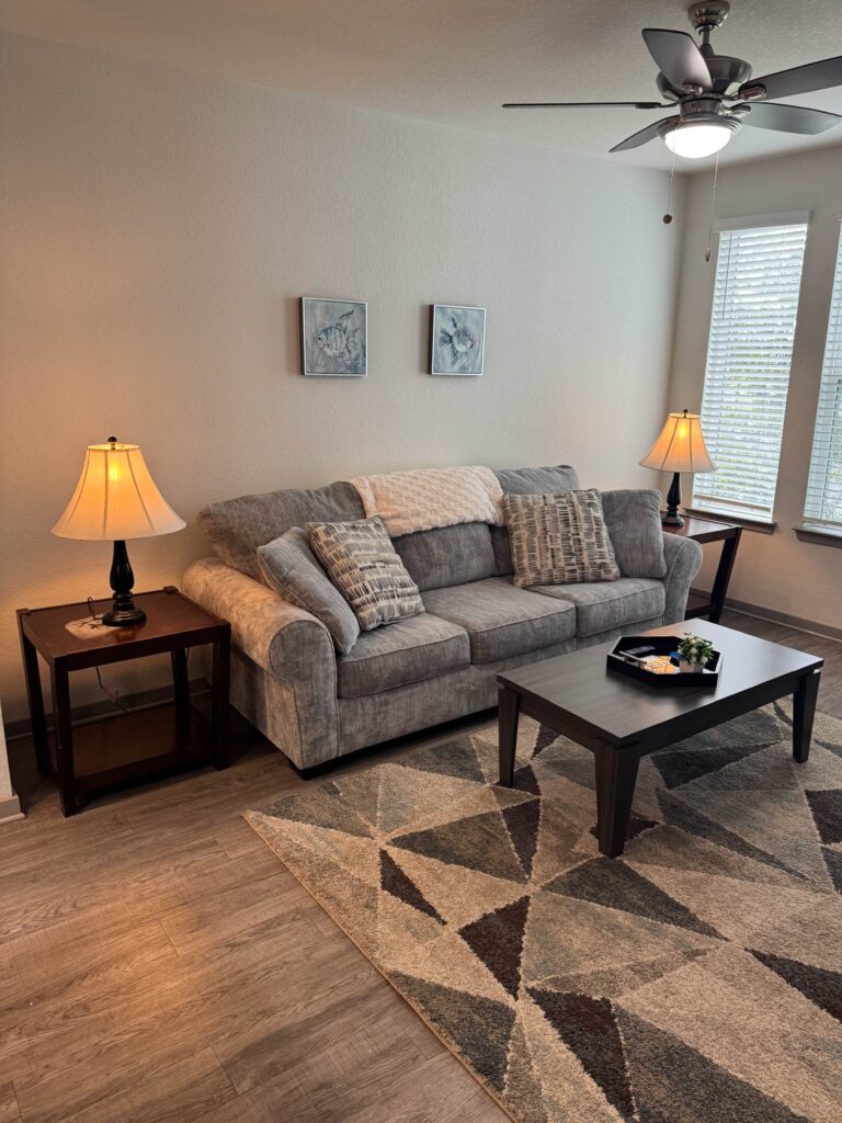 Comfortable furnished living room with a gray sofa, modern coffee table, geometric area rug, and large windows for natural light.