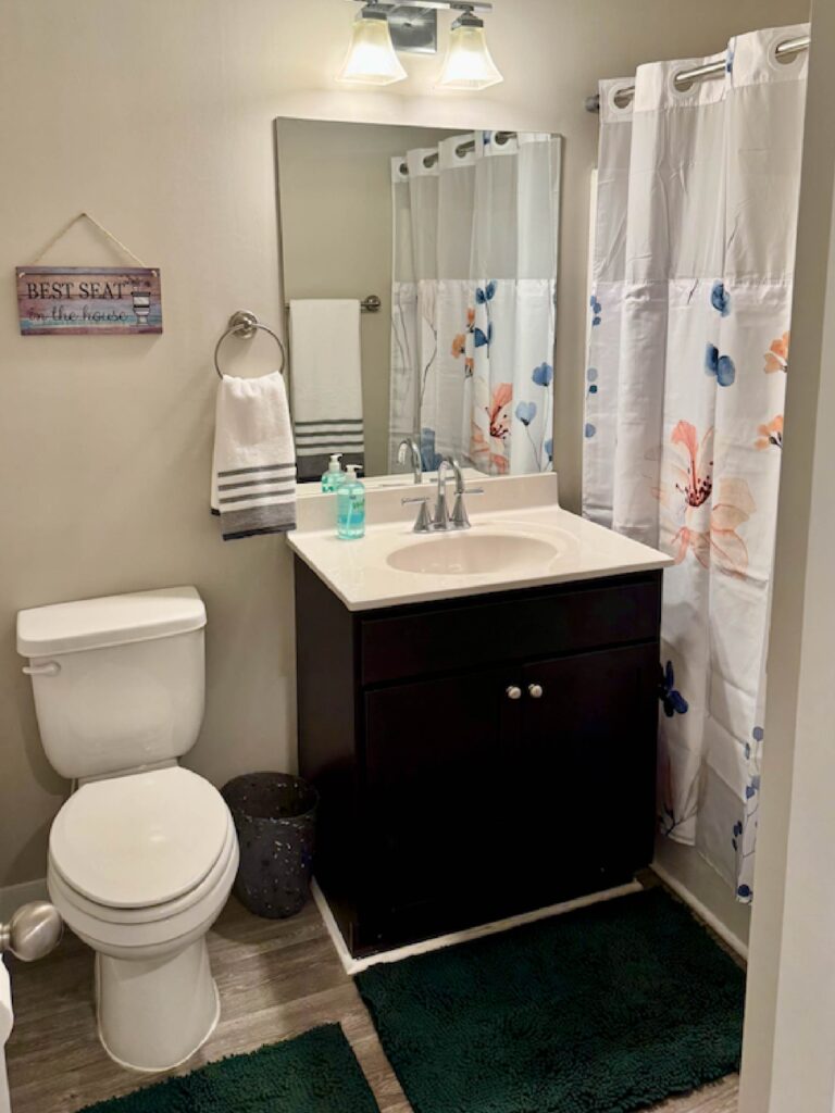 Secondary full bathroom featuring a single-sink vanity with storage cabinet, wall mirror, overhead lighting, toilet, decorative shower curtain, bath mat, and tub/shower combination in a furnished apartment at Lofts at Rose Monte.