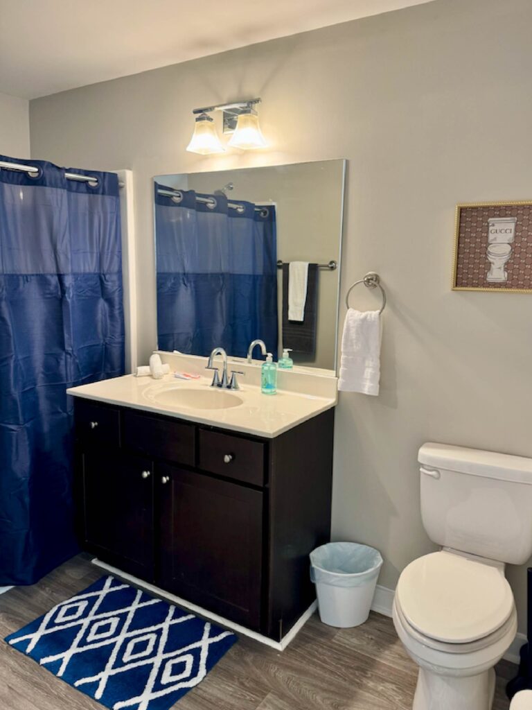 Full bathroom featuring a single-sink vanity with ample storage, large wall mirror, overhead lighting, toilet, tub and shower combination, blue shower curtain, and coordinating accent rug in a furnished apartment at Lofts at Rose Monte.