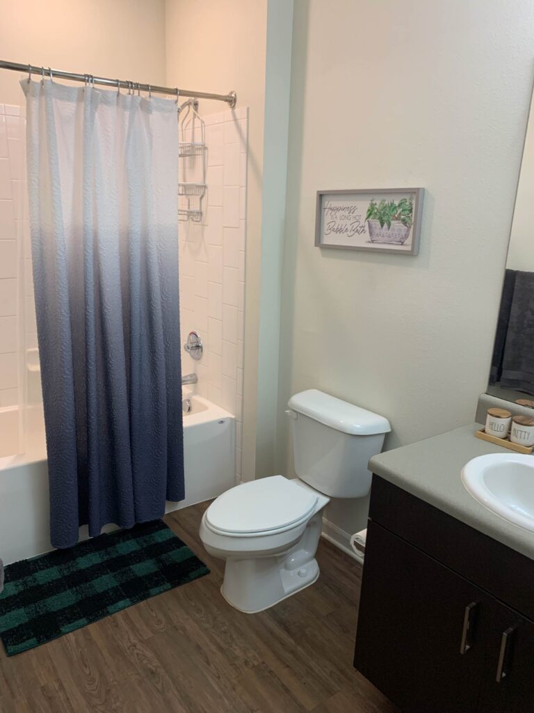 Modern bathroom with shower and tub combo, vanity sink, wood cabinetry, and decorative accents.
