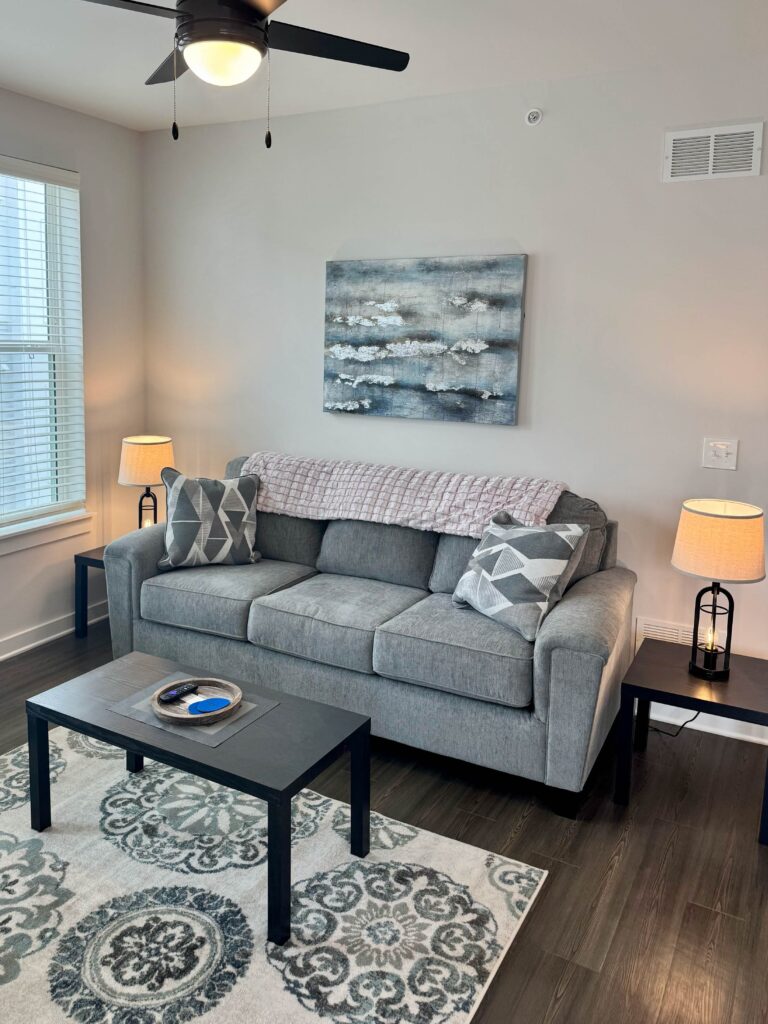 Modern living room at Maxwell Apartments featuring a gray sofa, decorative accent pillows, coffee table, area rug, side tables, and contemporary artwork.