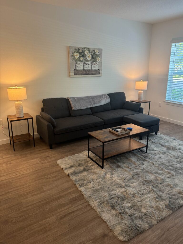 Modern living room with dark sectional sofa, soft gray area rug, wood-style flooring, and warm accent lighting.
