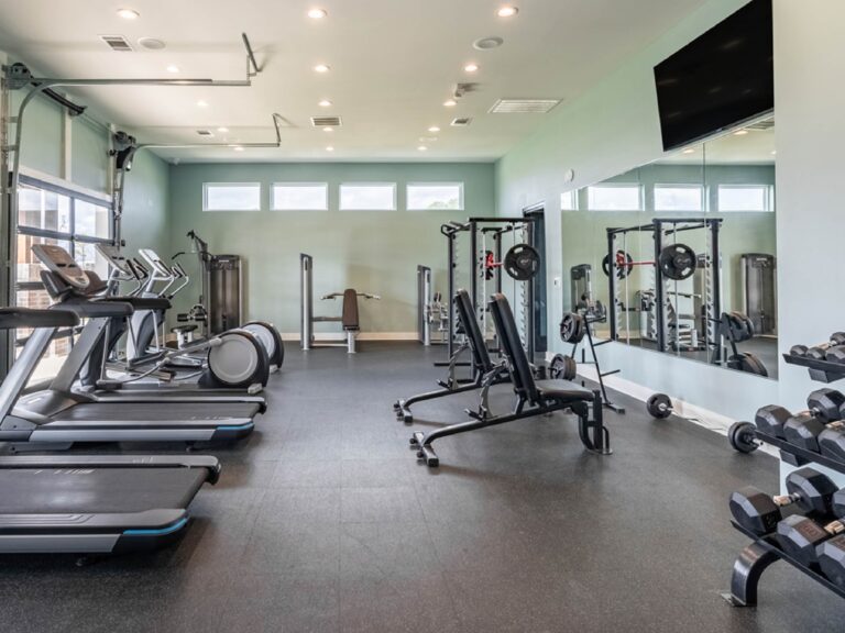 Modern fitness center at Oasis at Southpark featuring cardio equipment, free weights, strength training machines, and mirrored workout space.