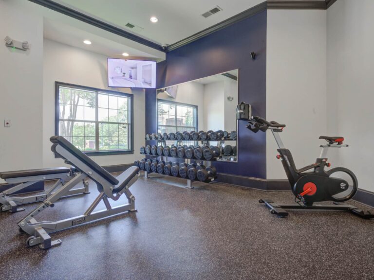 Modern fitness center at Vista Commons in Columbia, South Carolina, featuring free weights, an adjustable workout bench, stationary bike, mirrored training area, and large windows with natural light.