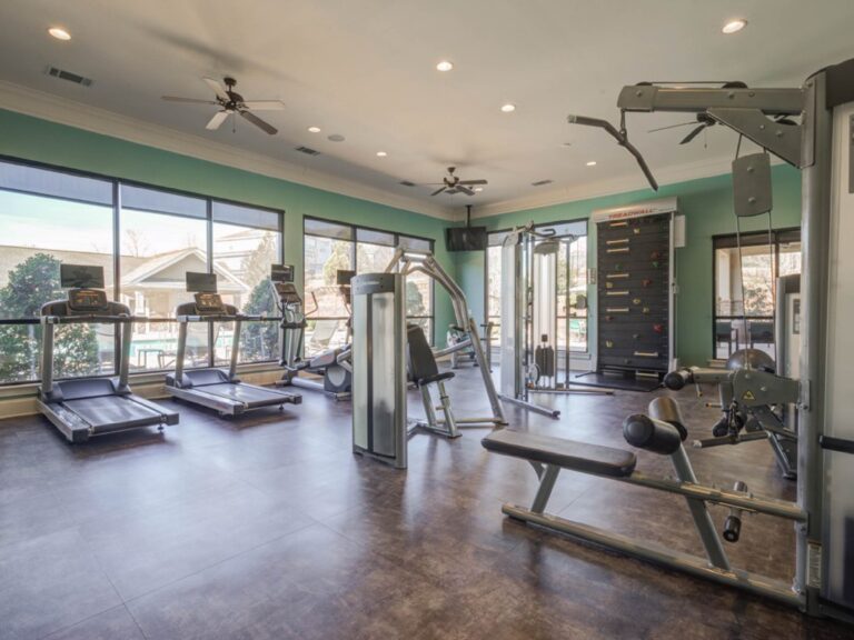 Modern community fitness center at Waterstone at Brier Creek featuring treadmills, cardio equipment, strength training machines, and floor-to-ceiling windows with natural light.