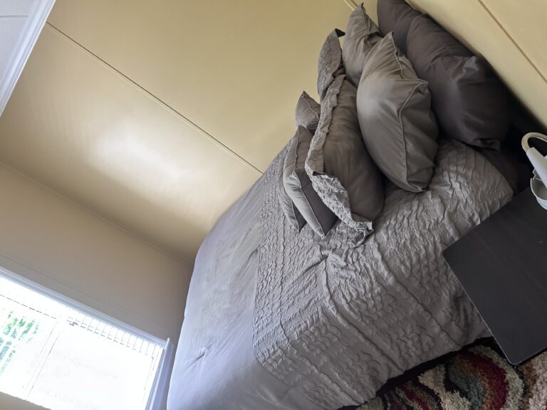 Comfortable bedroom featuring a large bed with plush bedding, decorative accent pillows, bedside table, and natural light from nearby windows.