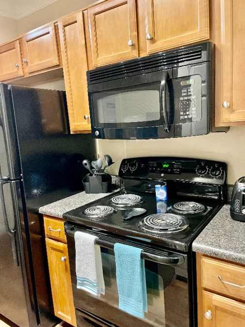 Austin, Texas, 1 Bedroom Bedrooms, ,1 BathroomBathrooms,Apartment/Condo,Corporate Lodging,1090