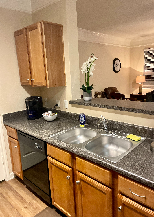 Austin, Texas, 1 Bedroom Bedrooms, ,1 BathroomBathrooms,Apartment/Condo,Corporate Lodging,1090
