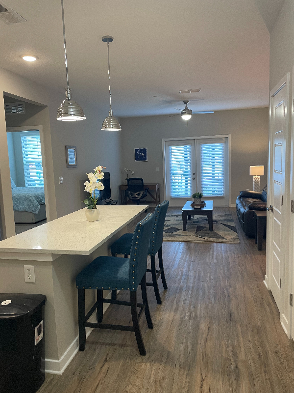 Brandon, Florida, 1 Bedroom Bedrooms, ,1 BathroomBathrooms,Apartment/Condo,FEMA Flexible,1094
