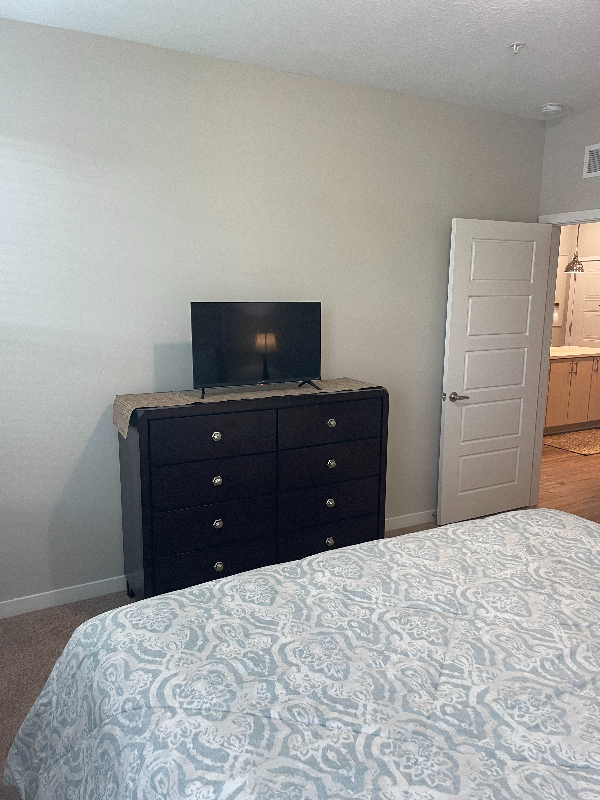 Brandon, Florida, 1 Bedroom Bedrooms, ,1 BathroomBathrooms,Apartment/Condo,FEMA Flexible,1094