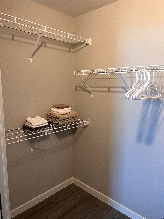 Primary Bedroom Closet