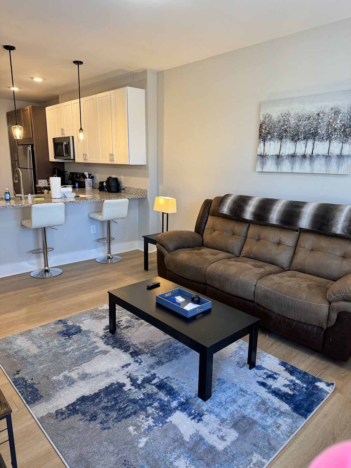 2001 Startown Road, Hickory, North Carolina 28602, 1 Bedroom Bedrooms, ,1 BathroomBathrooms,Apartment/Condo,FEMA Flexible,Startown,1201