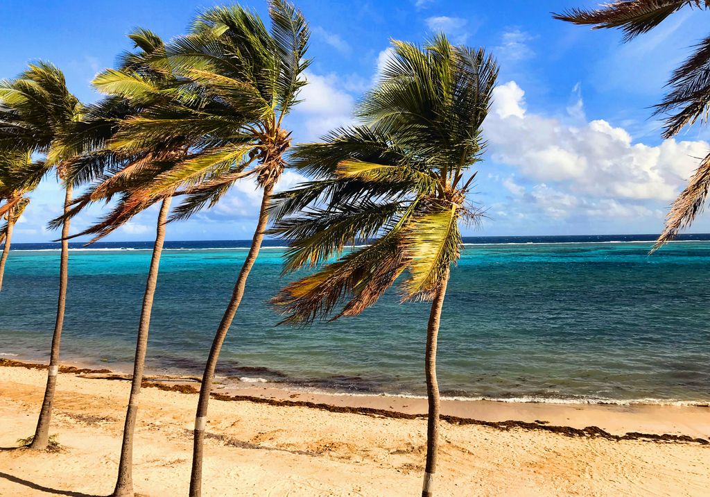 Christiansted, 2 Bedrooms Bedrooms, ,2 BathroomsBathrooms,Apartment/Condo,Corporate Lodging,1041